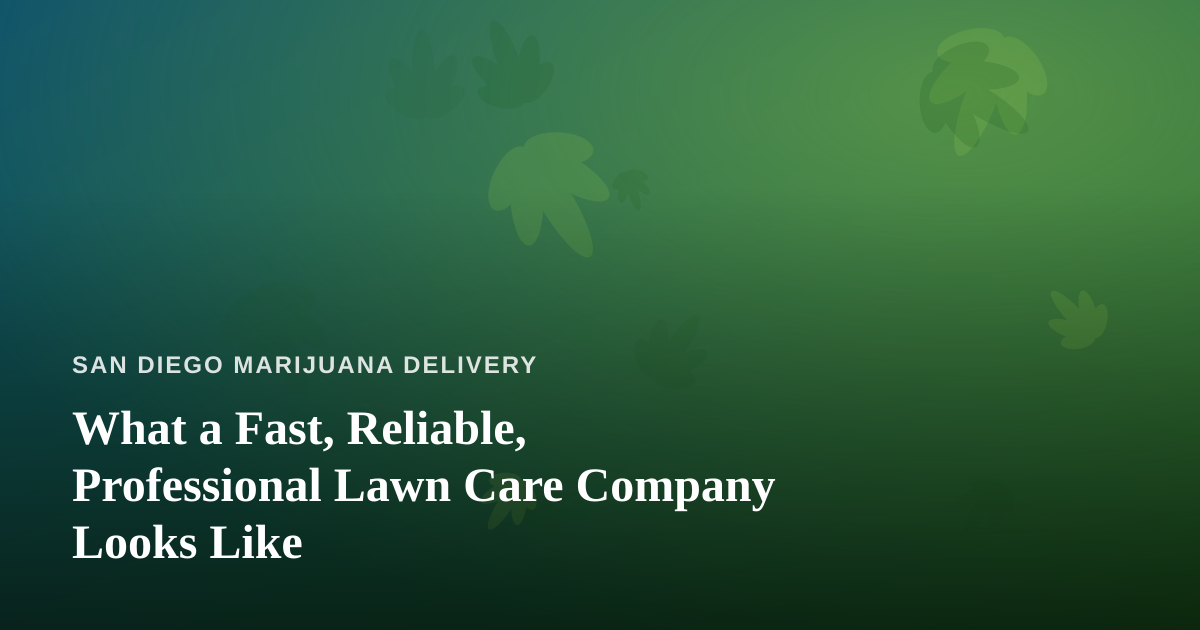 What a Fast, Reliable, Professional Lawn Care Company Looks Like